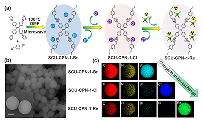 Prof. Wang’s Group Reports Efficient 99TcO4- Remediation by a Cationic Polymeric Network